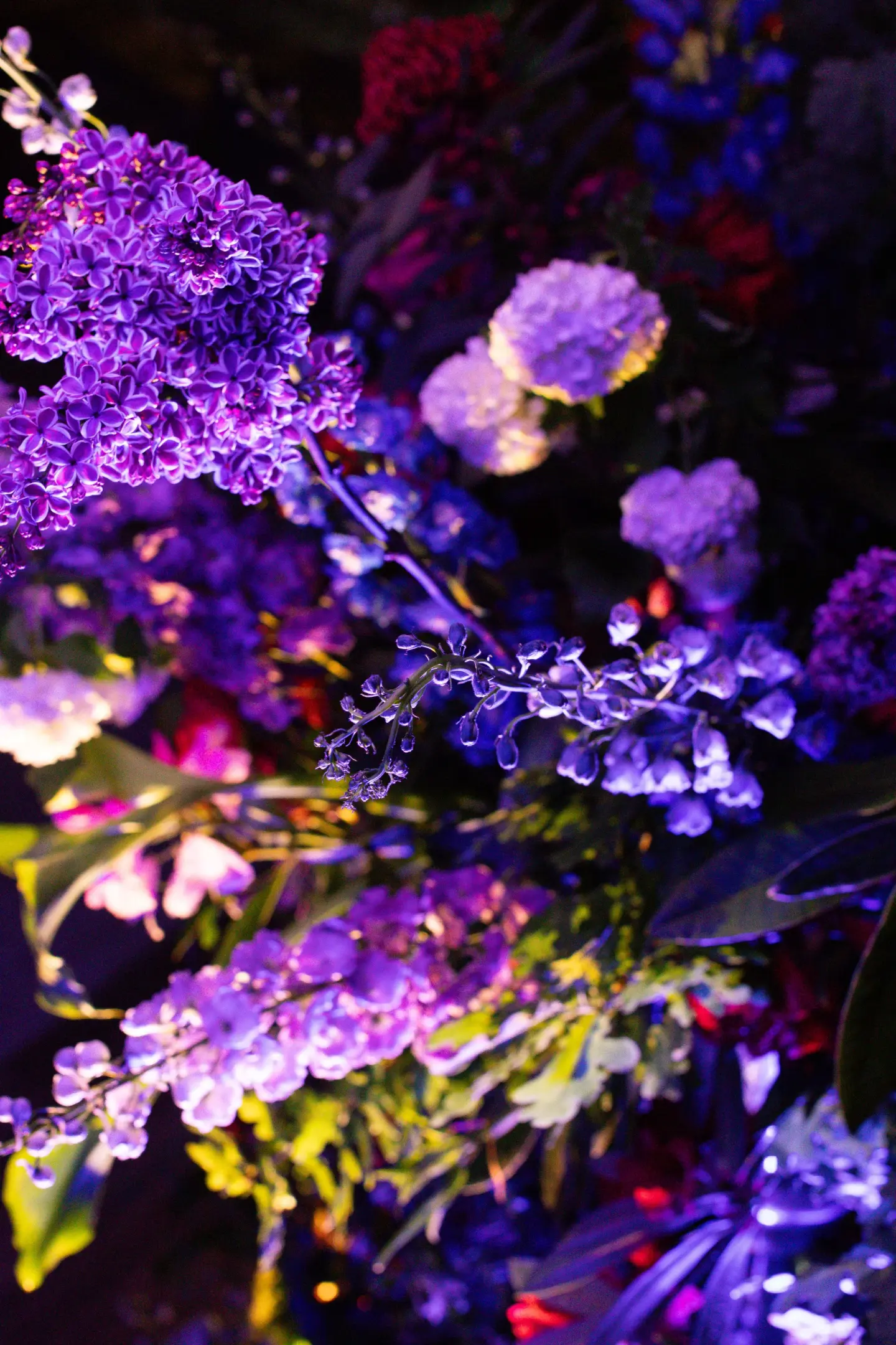 goldman-sachs-gala-2024 event photo 10