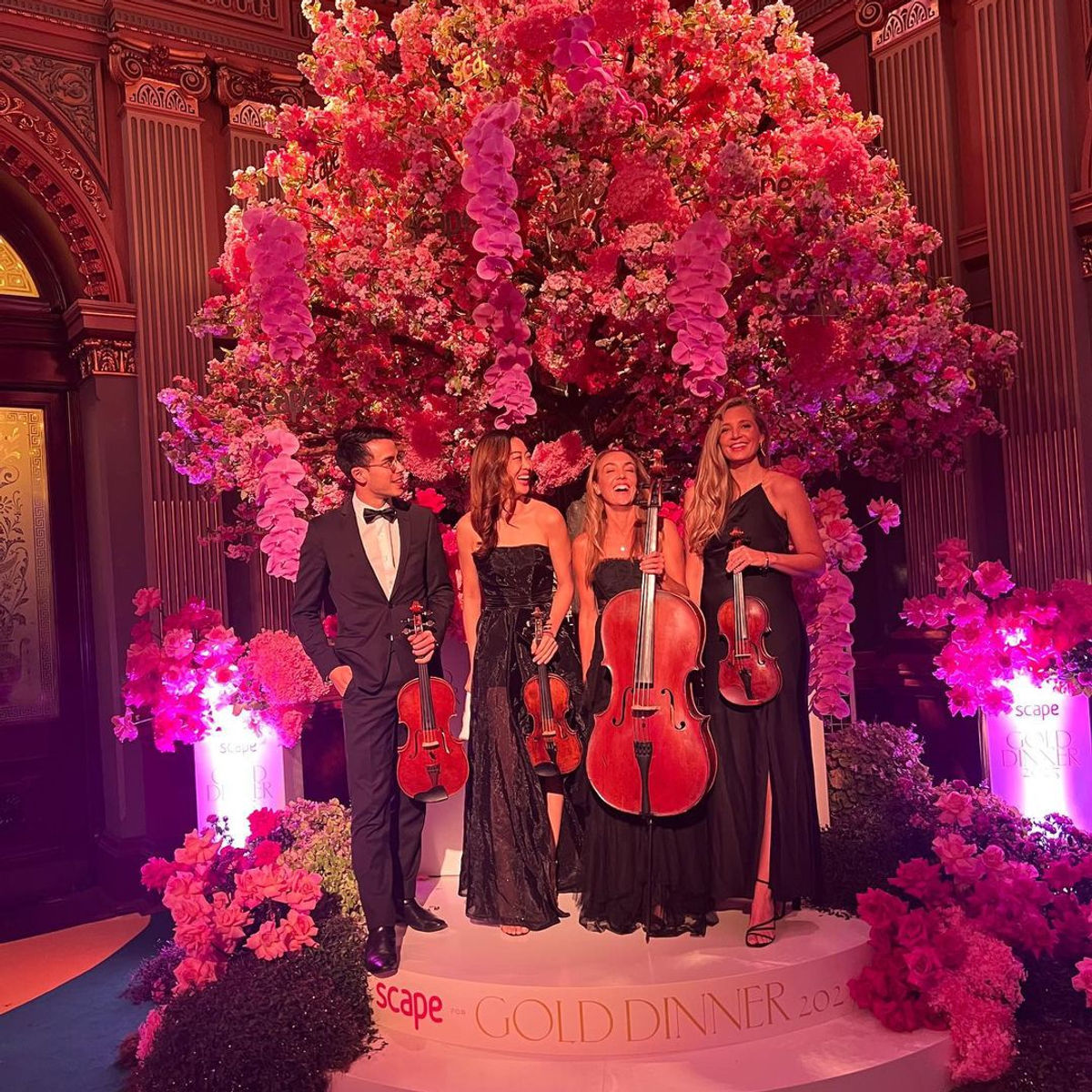 Luxe Strings 13