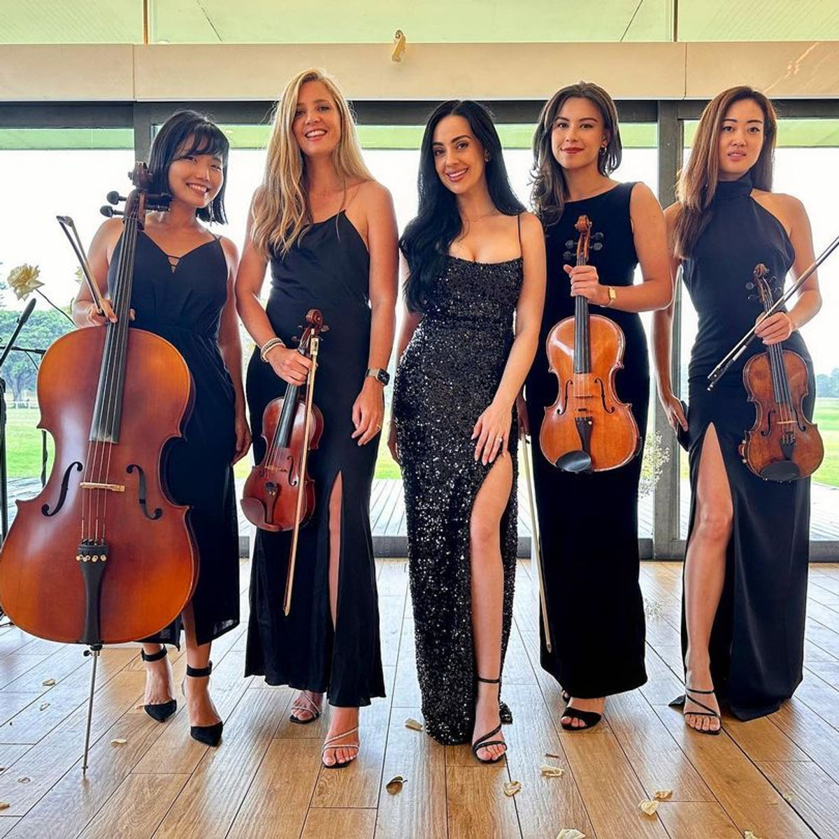 Luxe Strings 14