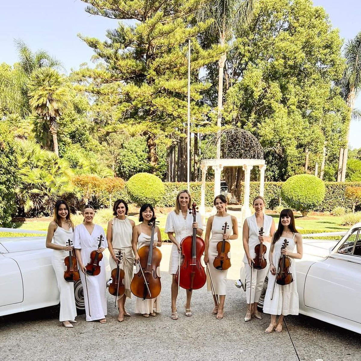 Luxe Strings 6